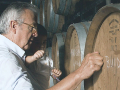 Josep Maria Pujol-Busquets
